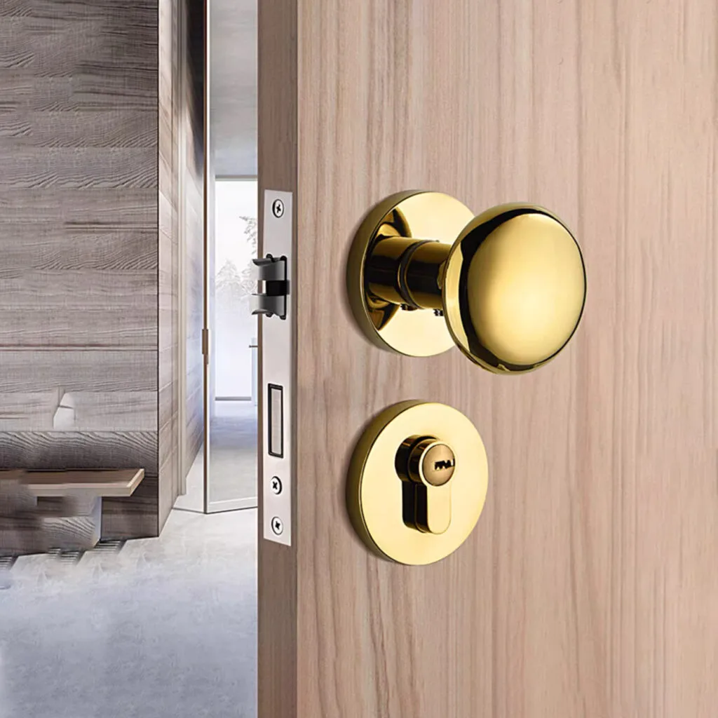 Khóa cửa phân thể - Xu hướng khóa cửa được ưa chuộng hiện nay 8 khoa cua phan the fhomenamkhang7